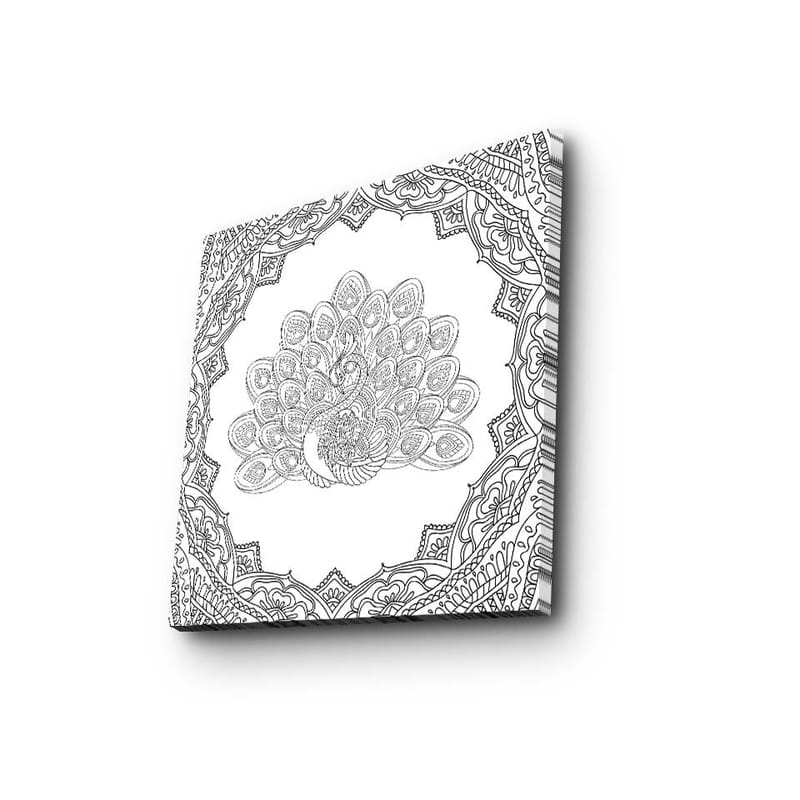 Canvas-taulu 45x45 cm - Yksityiskohtainen riikinkukon höyhenpeite koristeellisessa kehyksessä - Musta / Valkoinen - Sisustustuotteet - Taulu & taide - Canvas-taulu