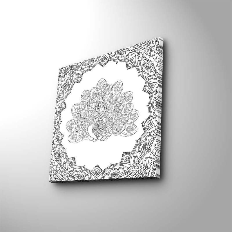 Canvas-taulu 45x45 cm - Yksityiskohtainen riikinkukon höyhenpeite koristeellisessa kehyksessä - Musta / Valkoinen - Sisustustuotteet - Taulu & taide - Canvas-taulu