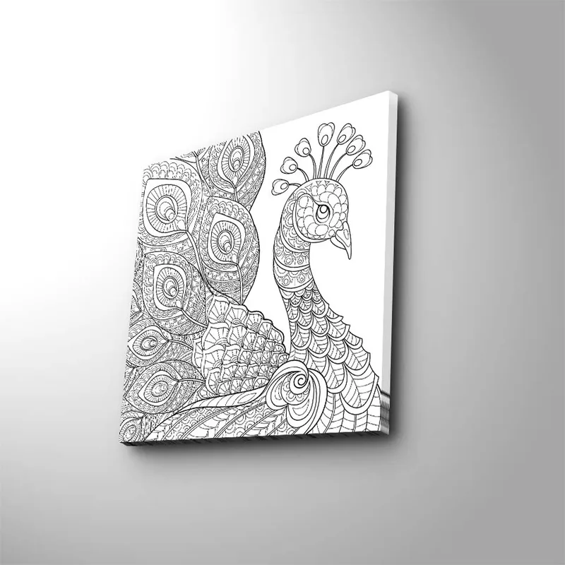 Canvas-taulu 45x45 cm - Yksityiskohtainen siipikarja koristeellisilla höyhenillä, Musta / Valkoinen