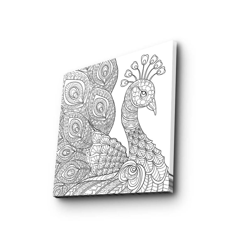 Canvas-taulu 45x45 cm - Yksityiskohtainen siipikarja koristeellisilla höyhenillä - Musta / Valkoinen - Sisustustuotteet - Taulu & taide - Canvas-taulu