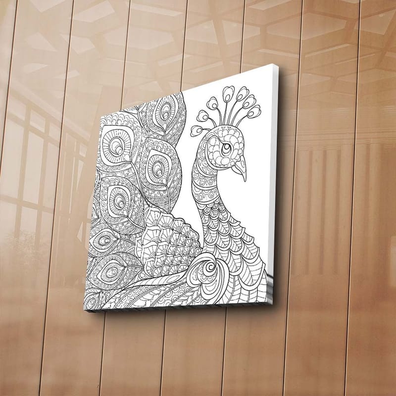 Canvas-taulu 45x45 cm - Yksityiskohtainen siipikarja koristeellisilla höyhenillä - Musta / Valkoinen - Sisustustuotteet - Taulu & taide - Canvas-taulu