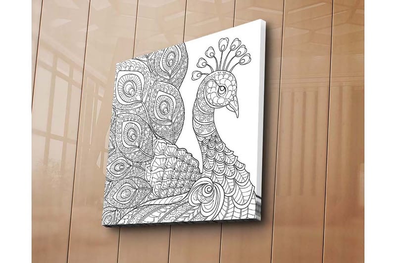 Canvas-taulu 45x45 cm - Yksityiskohtainen siipikarja monimutkaisilla kuvioilla - Musta / Valkoinen - Sisustustuotteet - Taulu & taide - Canvas-taulu
