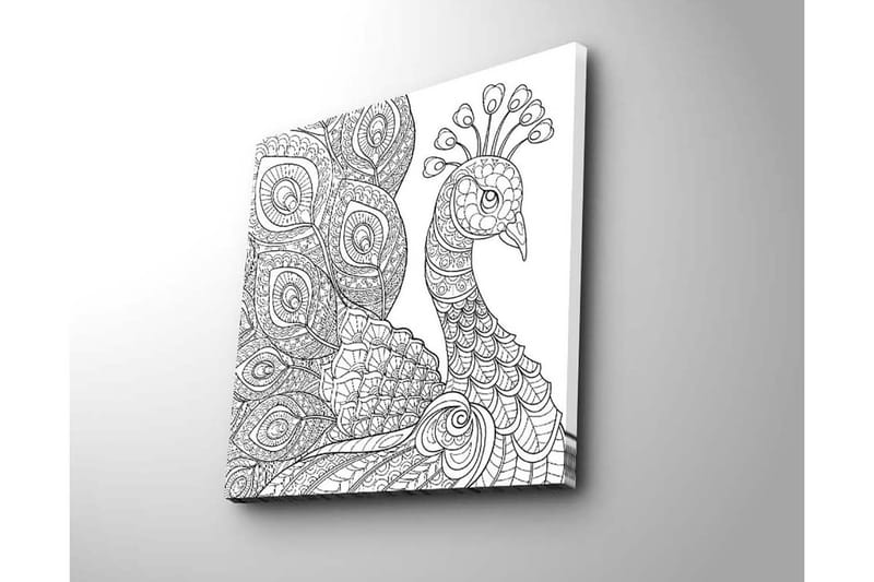 Canvas-taulu 45x45 cm - Yksityiskohtainen siipikarja monimutkaisilla kuvioilla - Musta / Valkoinen - Sisustustuotteet - Taulu & taide - Canvas-taulu