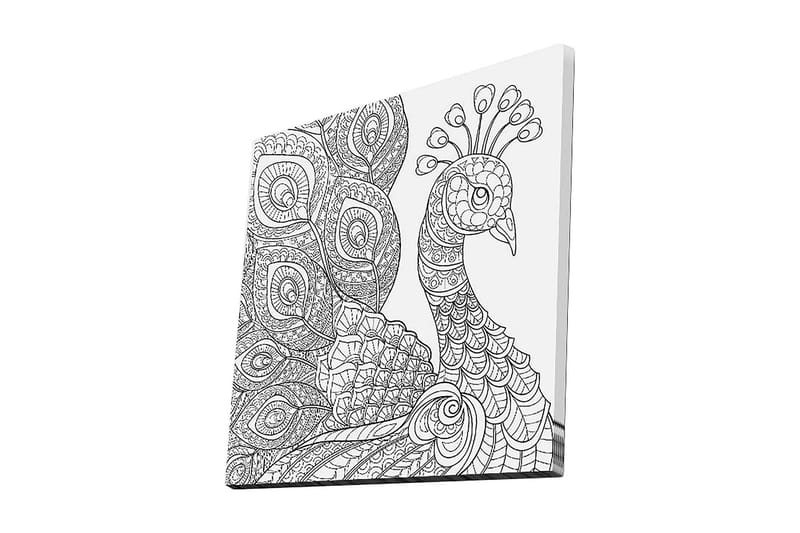 Canvas-taulu 45x45 cm - Yksityiskohtainen siipikarja monimutkaisilla kuvioilla, Musta / Valkoinen