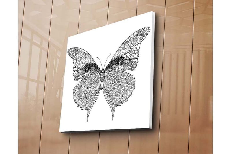 Canvas-taulu 45x45 cm - Yksityiskohtainen perhonen monimutkaisilla kuvioilla, Musta / Valkoinen