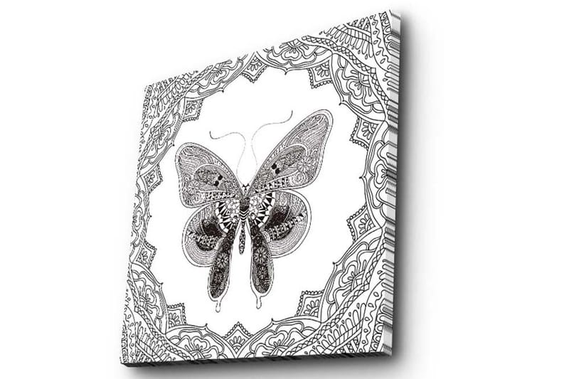 Canvas-taulu 45x45 cm - Yksityiskohtainen perhonen koristekuvioiden ympäröimänä - Musta / Valkoinen - Sisustustuotteet - Taulu & taide - Canvas-taulu