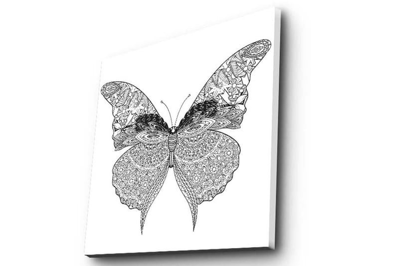 Canvas-taulu 45x45 cm - Yksityiskohtainen perhonen monimutkaisilla kuvioilla - Musta / Valkoinen - Sisustustuotteet - Taulu & taide - Canvas-taulu