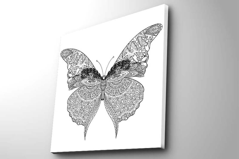Canvas-taulu 45x45 cm - Yksityiskohtainen perhonen monimutkaisilla kuvioilla - Musta / Valkoinen - Sisustustuotteet - Taulu & taide - Canvas-taulu