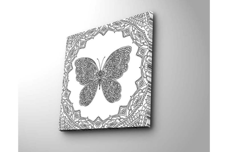 Canvas-taulu 45x45 cm - Yksityiskohtainen perhonen koristekuvioiden ympäröimänä - Musta / Valkoinen - Sisustustuotteet - Taulu & taide - Canvas-taulu