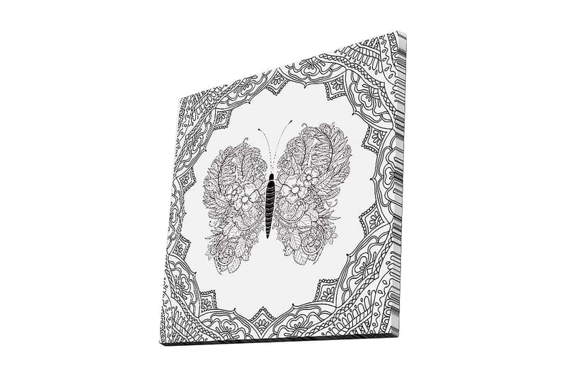 Canvas-taulu 45x45 cm - Yksityiskohtainen perhonen kukkakuviolla ja koristelulla, Musta / Valkoinen