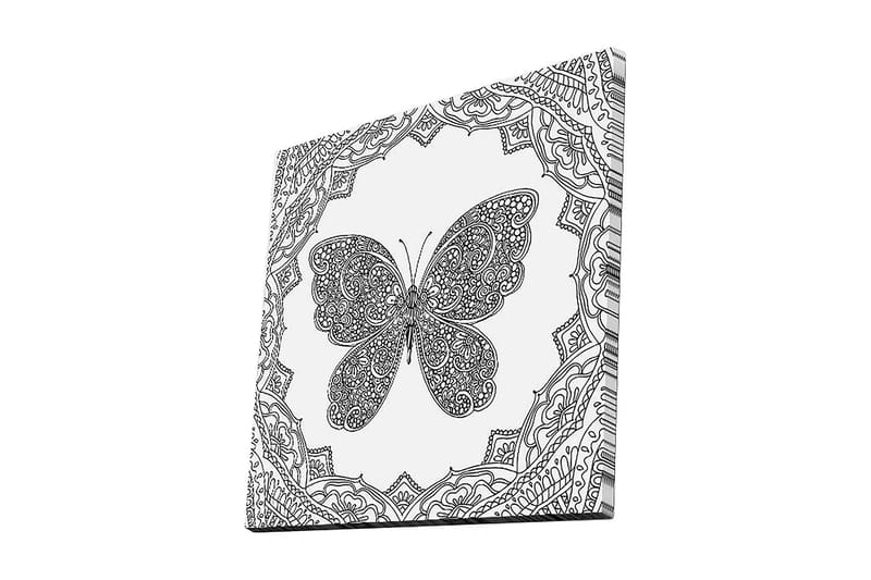 Canvas-taulu 45x45 cm - Yksityiskohtainen perhonen koristekuvioiden ympäröimänä, Musta / Valkoinen