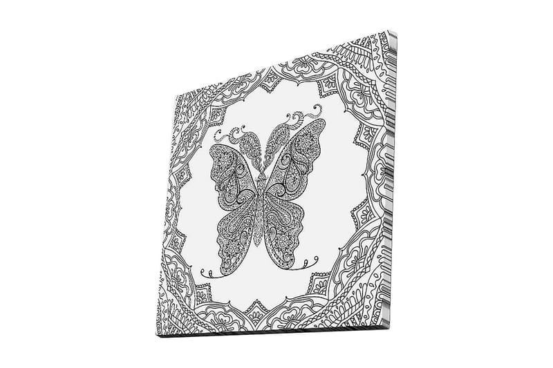 Canvas-taulu 45x45 cm - Yksityiskohtainen perhonen koristekuvioilla, Musta / Valkoinen