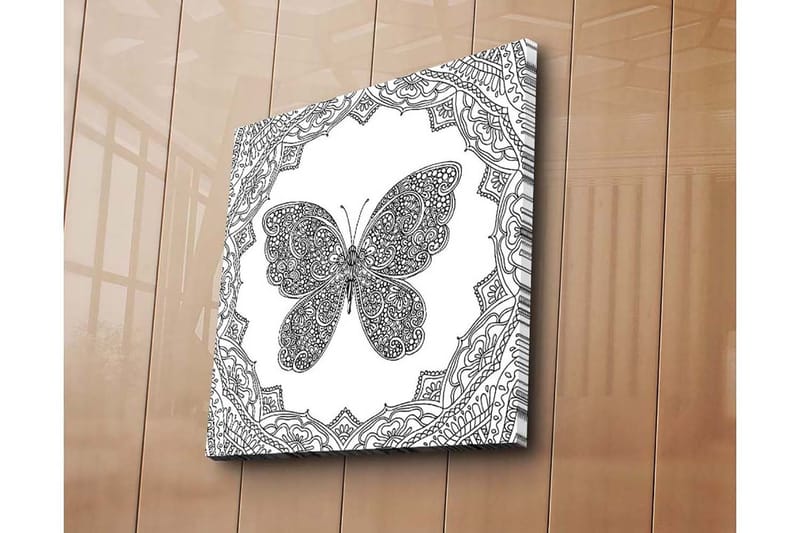 Canvas-taulu 45x45 cm - Yksityiskohtainen perhonen koristekuvioiden ympäröimänä - Musta / Valkoinen - Sisustustuotteet - Taulu & taide - Canvas-taulu