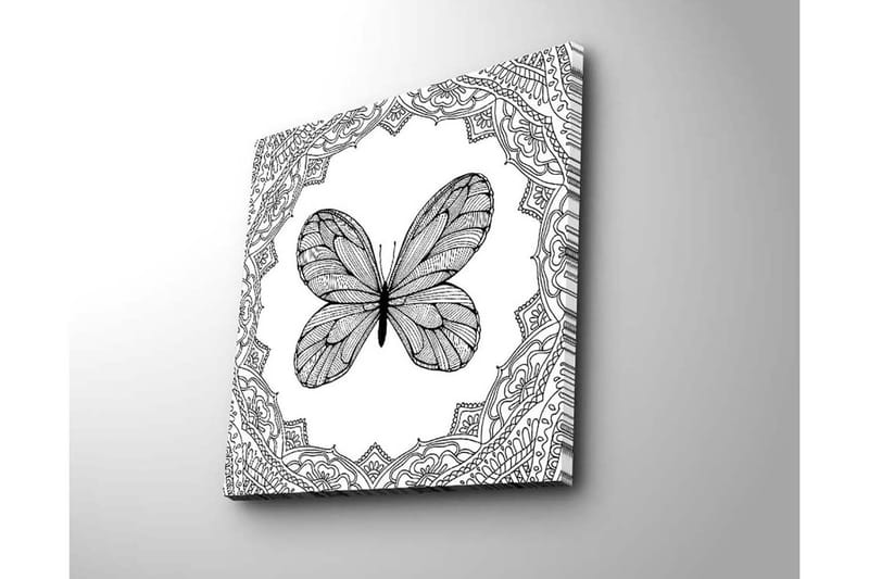 Canvas-taulu 45x45 cm - Yksityiskohtainen perhonen koristekuvioiden ympäröimänä - Musta / Valkoinen - Sisustustuotteet - Taulu & taide - Canvas-taulu