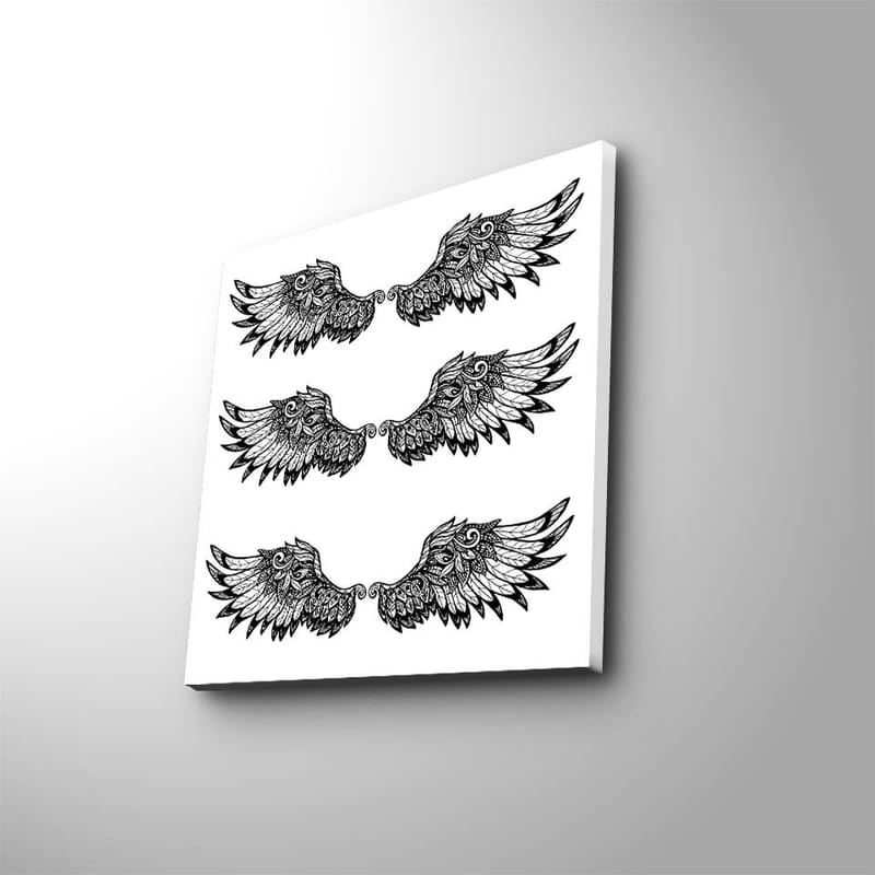 Canvas-taulu 45x45 cm - Yksityiskohtaiset höyhenet symmetrisessä siipikoostumuksessa, Musta / Valkoinen