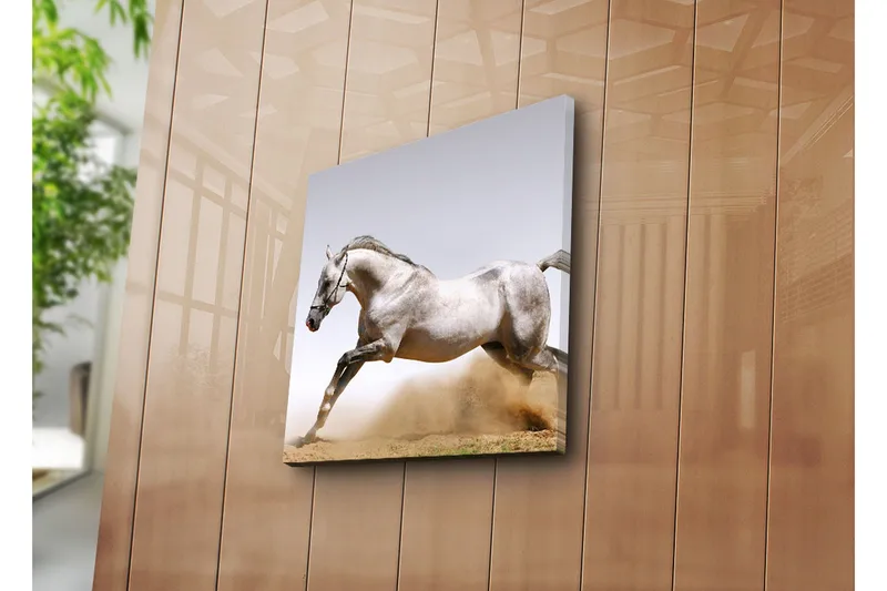 Canvas-taulu 45x45 cm - Ylpeä hevonen täydessä laukassa - Harmaa / Valkoinen / Beige - Sisustustuotteet - Taulu & taide - Canvas-taulu