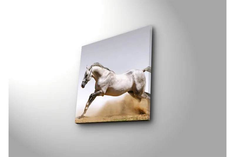 Canvas-taulu 45x45 cm - Ylpeä hevonen täydessä laukassa - Harmaa / Valkoinen / Beige - Sisustustuotteet - Taulu & taide - Canvas-taulu