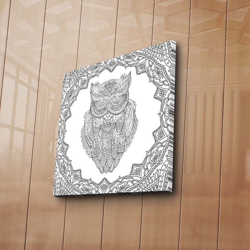 Canvas-taulu 45x45 cm - Pöllö yksityiskohtaisessa viivapiirroksessa koristekuvioiden ympäröimänä - Musta / Valkoinen - Sisustustuotteet - Taulu & taide - Canvas-taulu