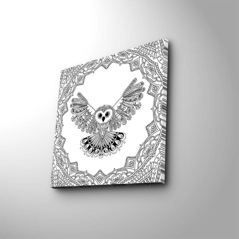 Canvas-taulu 45x45 cm - Pöllö ojennettuine siivin yksityiskohtaisessa kehyksessä - Musta / Valkoinen - Sisustustuotteet - Taulu & taide - Canvas-taulu