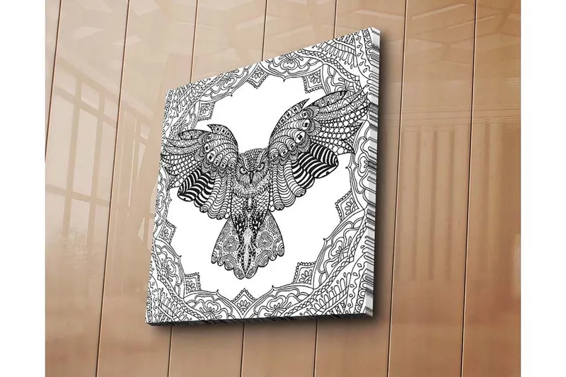 Canvas-taulu 45x45 cm - Pöllö yksityiskohtaisessa, mustavalkoisessa tyylissä, Musta / Valkoinen