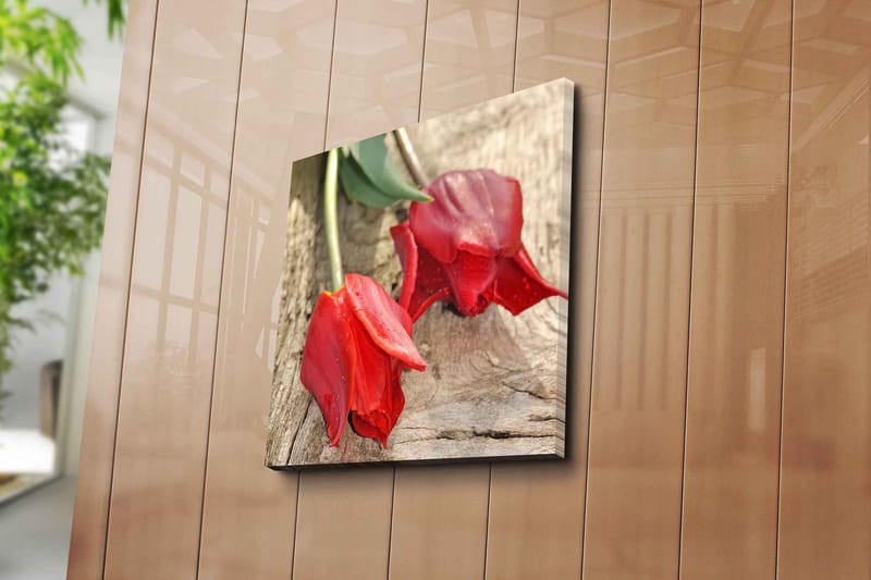 Canvas-taulu 45x45 cm - Punaiset tulppaanit puupinnalla - Punainen / Vihreä - Sisustustuotteet - Taulu & taide - Canvas-taulu