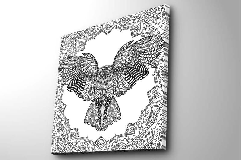 Canvas-taulu 45x45 cm - Pöllö yksityiskohtaisessa, mustavalkoisessa tyylissä - Musta / Valkoinen - Sisustustuotteet - Taulu & taide - Canvas-taulu