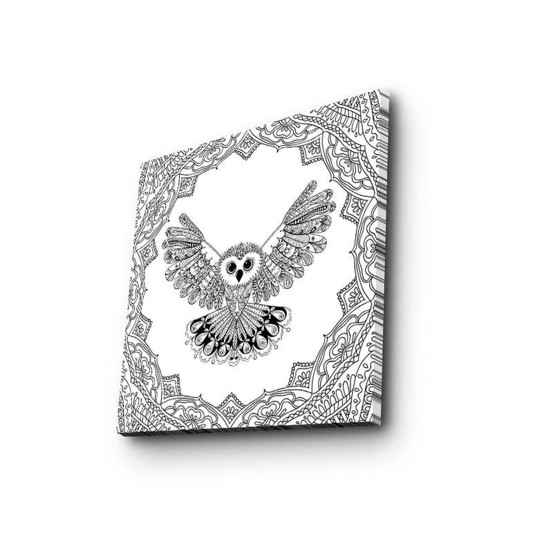 Canvas-taulu 45x45 cm - Pöllö ojennettuine siivin yksityiskohtaisessa kehyksessä, Musta / Valkoinen