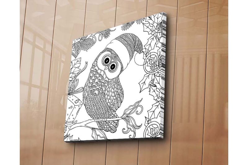Canvas-taulu 45x45 cm - Pöllö tontunhatulla ja jouluisilla yksityiskohdilla - Musta / Valkoinen - Sisustustuotteet - Taulu & taide - Canvas-taulu