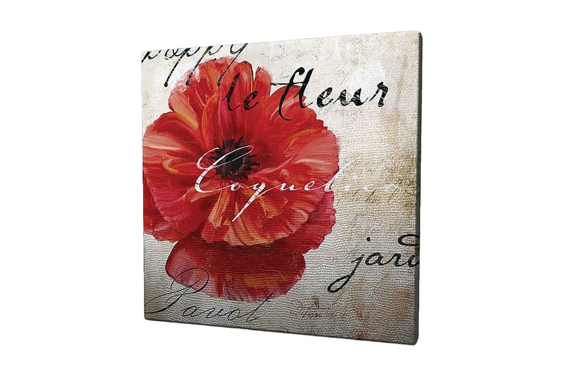 Canvas-taulu 45x45 cm - Punainen unikko käsinkirjoitetulla tekstillä taustalla, Punainen / Beige / Musta