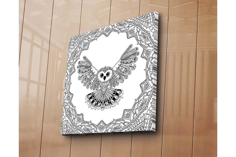 Canvas-taulu 45x45 cm - Pöllö ojennettuine siivin yksityiskohtaisessa kehyksessä - Musta / Valkoinen - Sisustustuotteet - Taulu & taide - Canvas-taulu