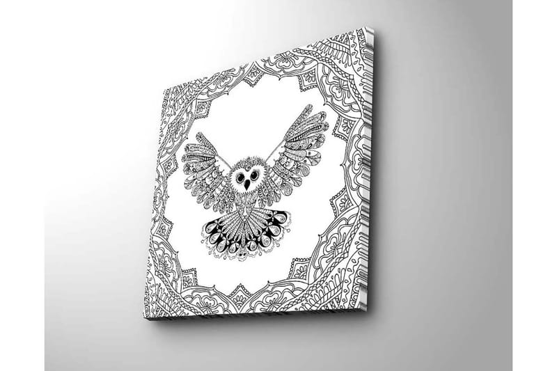 Canvas-taulu 45x45 cm - Pöllö ojennettuine siivin yksityiskohtaisessa kehyksessä - Musta / Valkoinen - Sisustustuotteet - Taulu & taide - Canvas-taulu