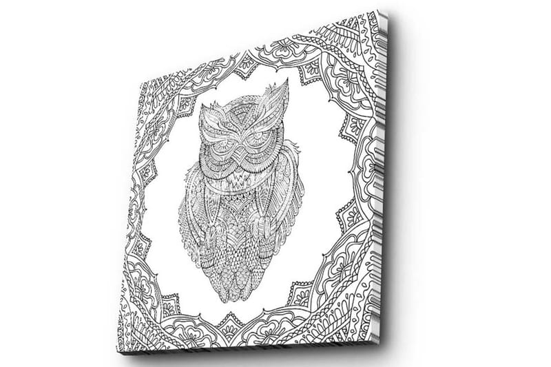 Canvas-taulu 45x45 cm - Pöllö yksityiskohtaisessa viivapiirroksessa koristekuvioiden ympäröimänä - Musta / Valkoinen - Sisustustuotteet - Taulu & taide - Canvas-taulu