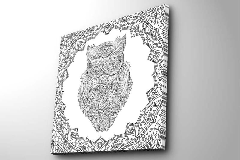 Canvas-taulu 45x45 cm - Pöllö yksityiskohtaisessa viivapiirroksessa koristekuvioiden ympäröimänä - Musta / Valkoinen - Sisustustuotteet - Taulu & taide - Canvas-taulu