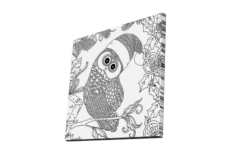 Canvas-taulu 45x45 cm - Pöllö tontunhatulla ja jouluisilla yksityiskohdilla, Musta / Valkoinen