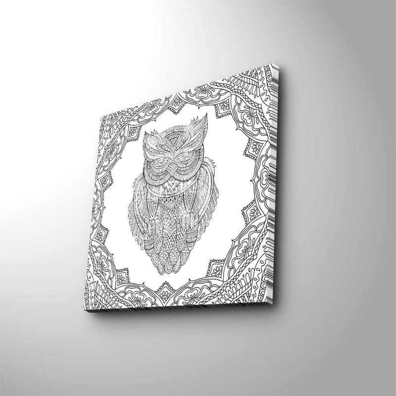 Canvas-taulu 45x45 cm - Pöllö yksityiskohtaisessa viivapiirroksessa koristekuvioiden ympäröimänä, Musta / Valkoinen