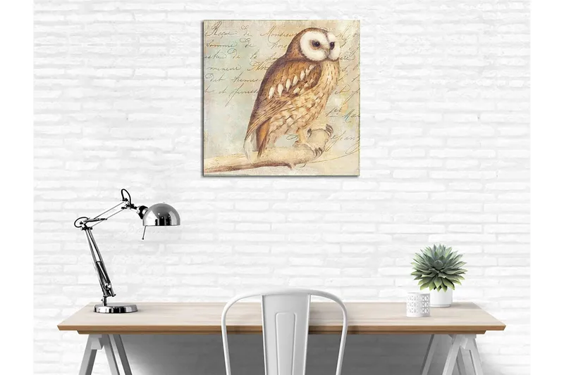 Canvas-taulu 45x45 cm - Pöllö yksityiskohtaisella höyhenpeitteellä - Beige / Ruskea / Vaaleansininen - Sisustustuotteet - Taulu & taide - Canvas-taulu