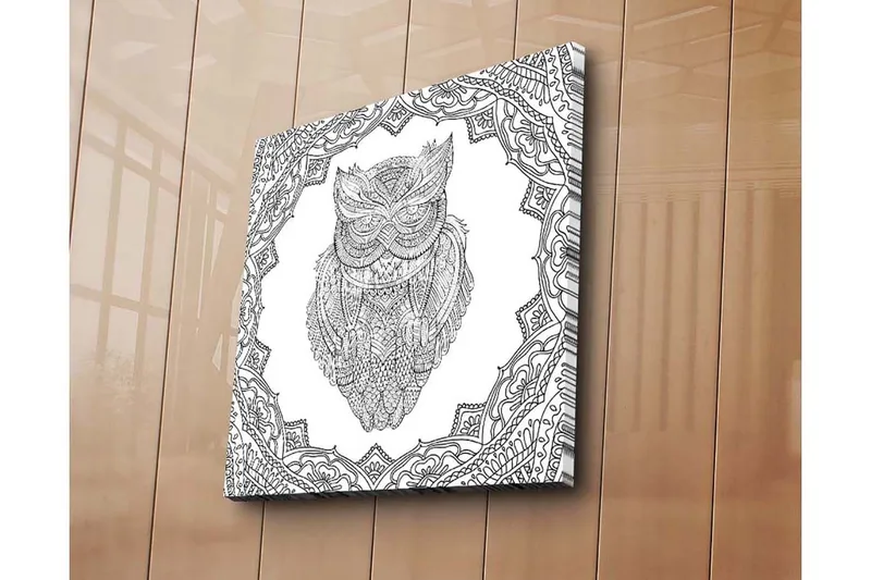 Canvas-taulu 45x45 cm - Pöllö yksityiskohtaisessa viivapiirroksessa koristekuvioiden ympäröimänä, Musta / Valkoinen