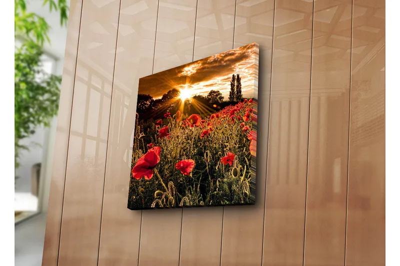 Canvas-taulu 45x45 cm - Punaisten unikkojen pelto kirkkaan auringon taustalla - Punainen / Oranssi / Vihreä - Sisustustuotteet - Taulu & taide - Canvas-taulu