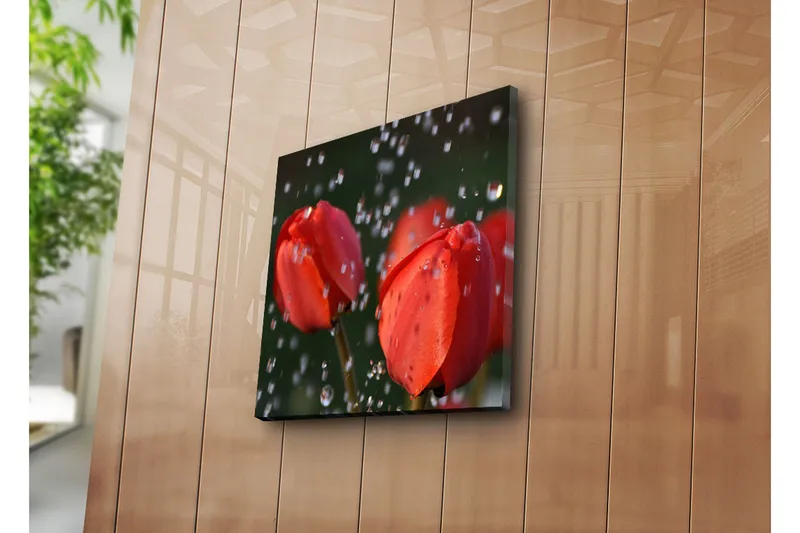 Canvas-taulu 45x45 cm - Punainen tulppaani ja valossa kimaltelevat vesipisarat - Punainen / Vihreä - Sisustustuotteet - Taulu & taide - Canvas-taulu