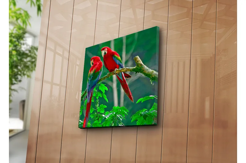 Canvas-taulu 45x45 cm - Pari värikkäitä papukaijoja oksalla - Punainen / Vihreä / Sininen - Sisustustuotteet - Taulu & taide - Canvas-taulu
