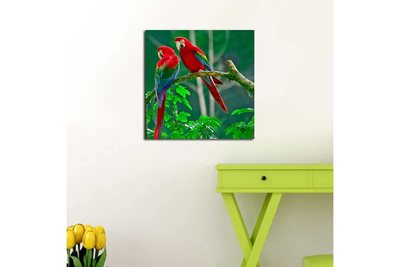Canvas-taulu 45x45 cm - Pari värikkäitä papukaijoja oksalla - Punainen / Vihreä / Sininen - Sisustustuotteet - Taulu & taide - Canvas-taulu