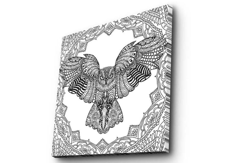 Canvas-taulu 45x45 cm - Pöllö yksityiskohtaisessa, mustavalkoisessa tyylissä - Musta / Valkoinen - Sisustustuotteet - Taulu & taide - Canvas-taulu