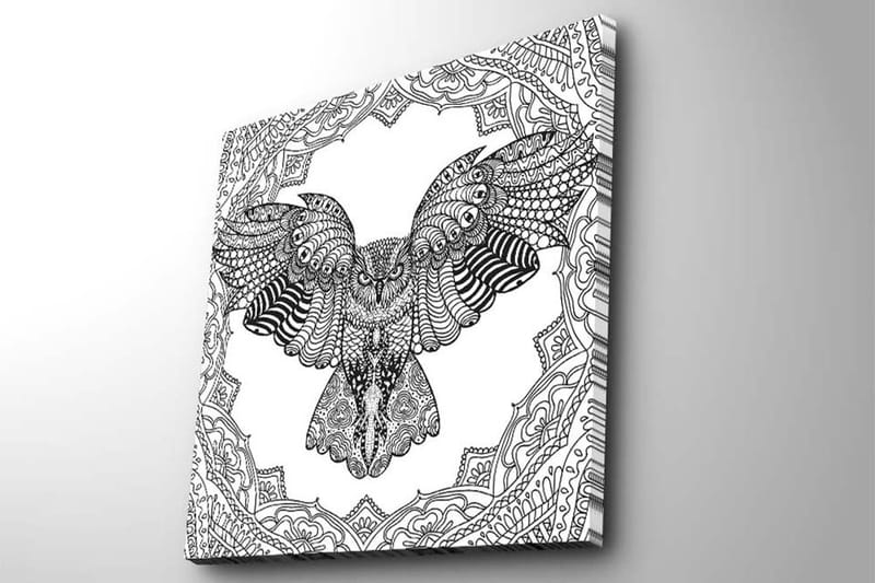 Canvas-taulu 45x45 cm - Pöllö yksityiskohtaisessa, mustavalkoisessa tyylissä - Musta / Valkoinen - Sisustustuotteet - Taulu & taide - Canvas-taulu