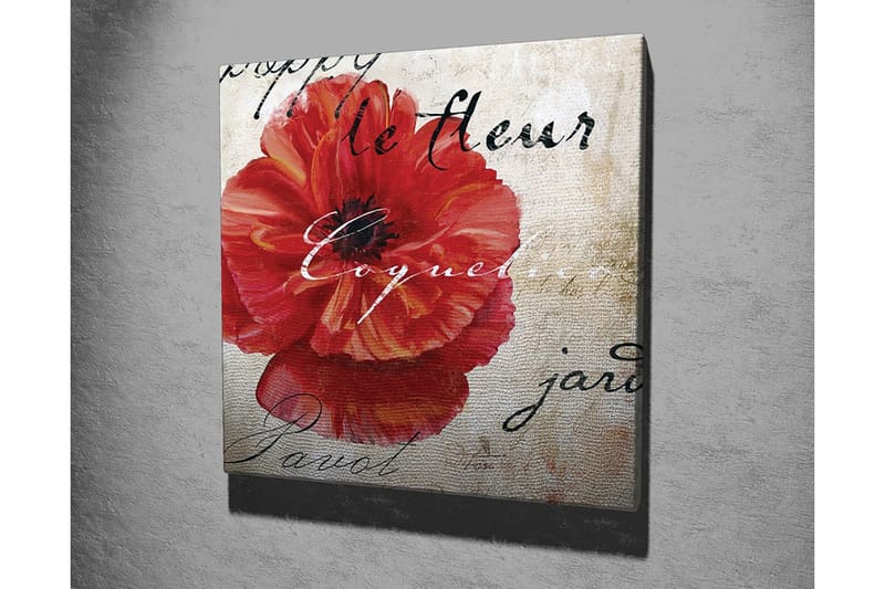 Canvas-taulu 45x45 cm - Punainen unikko käsinkirjoitetulla tekstillä taustalla - Punainen / Beige / Musta - Sisustustuotteet - Taulu & taide - Canvas-taulu