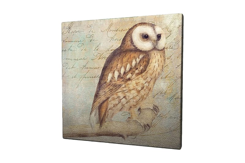 Canvas-taulu 45x45 cm - Pöllö yksityiskohtaisella höyhenpeitteellä, Beige / Ruskea / Vaaleansininen