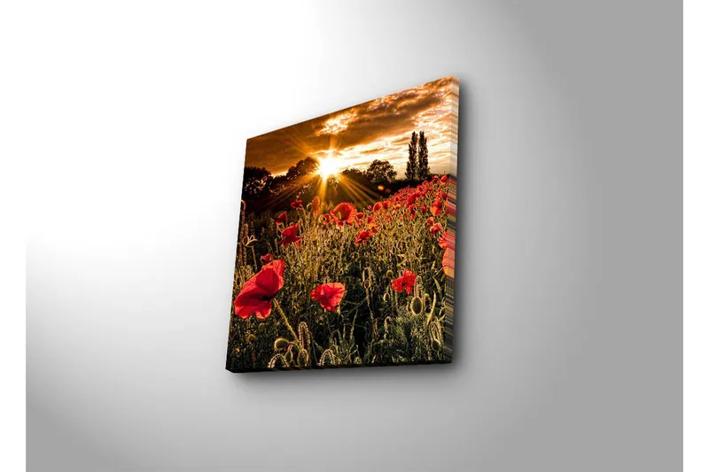 Canvas-taulu 45x45 cm - Punaisten unikkojen pelto kirkkaan auringon taustalla - Punainen / Oranssi / Vihreä - Sisustustuotteet - Taulu & taide - Canvas-taulu