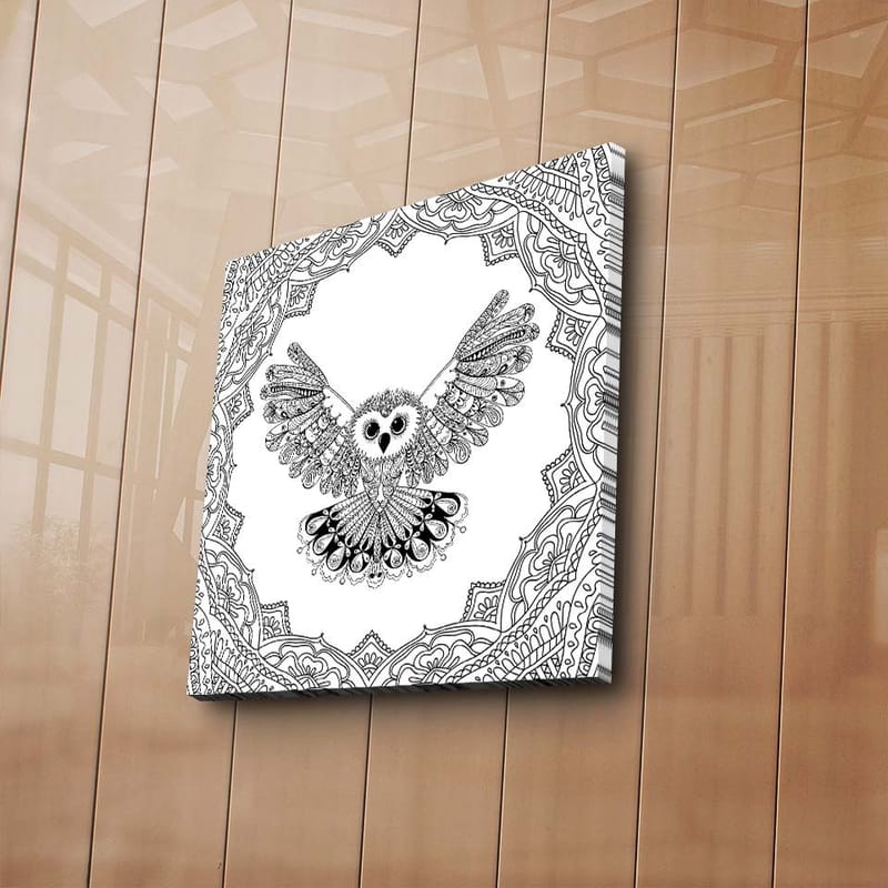 Canvas-taulu 45x45 cm - Pöllö ojennettuine siivin yksityiskohtaisessa kehyksessä - Musta / Valkoinen - Sisustustuotteet - Taulu & taide - Canvas-taulu