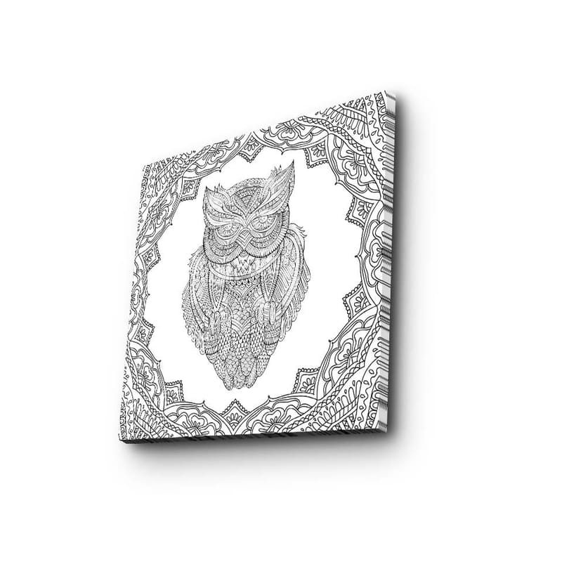 Canvas-taulu 45x45 cm - Pöllö yksityiskohtaisessa viivapiirroksessa koristekuvioiden ympäröimänä - Musta / Valkoinen - Sisustustuotteet - Taulu & taide - Canvas-taulu