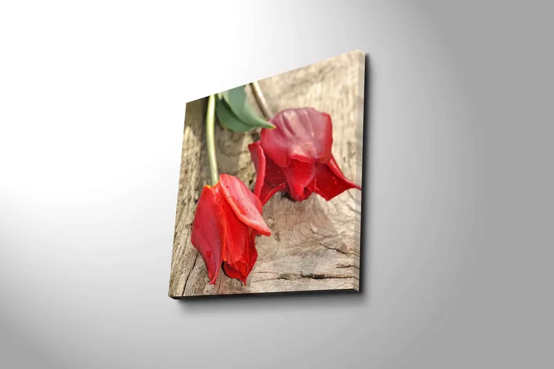 Canvas-taulu 45x45 cm - Punaiset tulppaanit puupinnalla - Punainen / Vihreä - Sisustustuotteet - Taulu & taide - Canvas-taulu