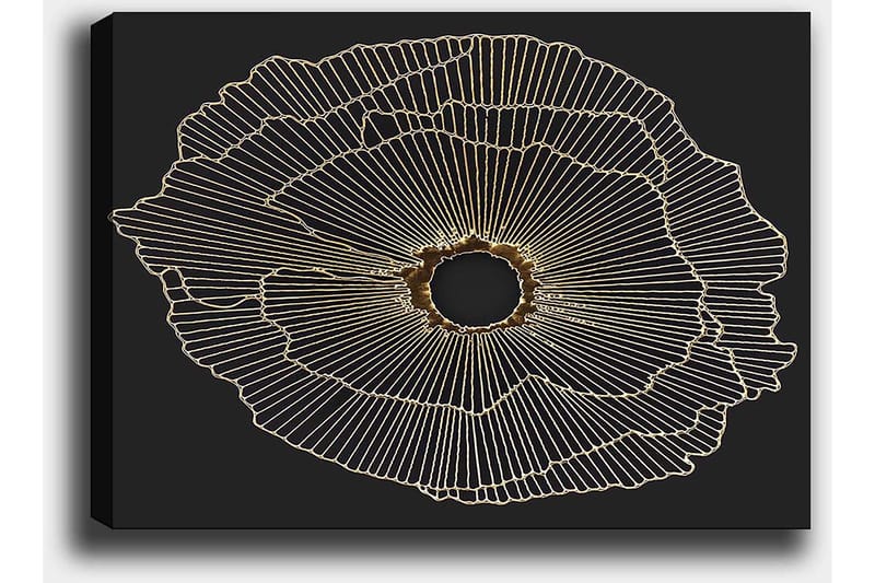 Canvas taulu 70x100 cm - Abstrakti kukka kultaisilla viivoilla mustalla taustalla - Kulta / Musta - Sisustustuotteet - Taulu & taide - Canvas-taulu